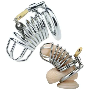 Chastity Cage Chastity Device - New Upgrade Vertical Invisible Lock Design, Male Chastity Cock cage, Chastity Device for Penis Training and Abstinence, Penis Cage Sex Toy for Men (Silver)